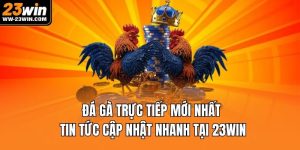 đá gà trực tiếp mới nhất